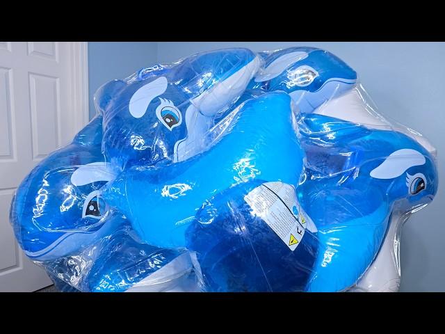 Eleven Inflatable Blue Whales Inside a Huge Beach Ball