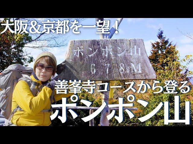 ポンポン山 王道の善峯寺コースから山頂を目指す福寿草 ヘタレ夫婦登山 Vol.120