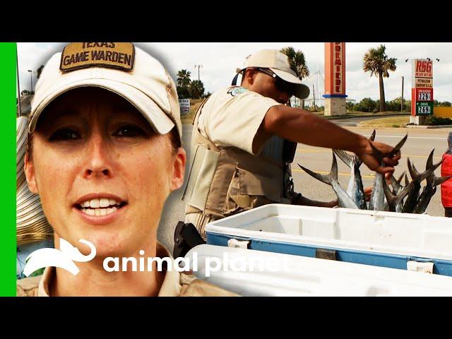 Fishing Poachers Try To Trick Game Wardens | Lone Star Law