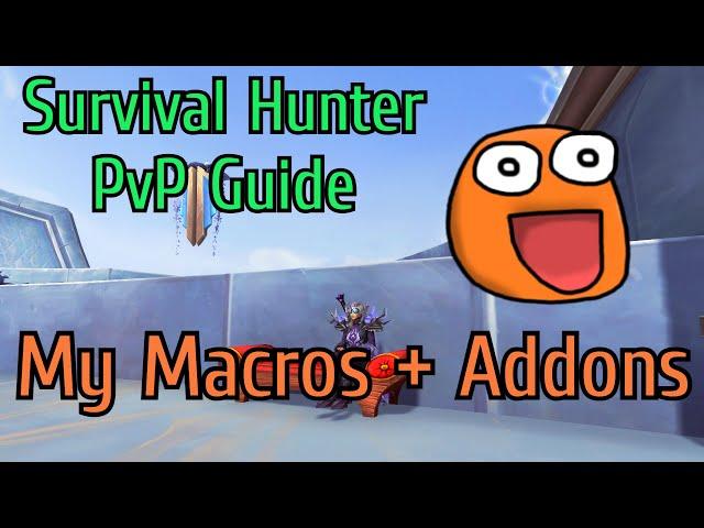 Bicmex | R1 Survival Hunter | PvP Guide Part 2 | My Macros and Addons