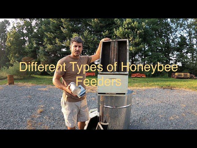 Different Types of Honeybee Feeders