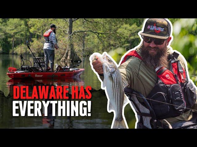 How Diverse is the Fishing in Delaware?  |  Road Trip Angler