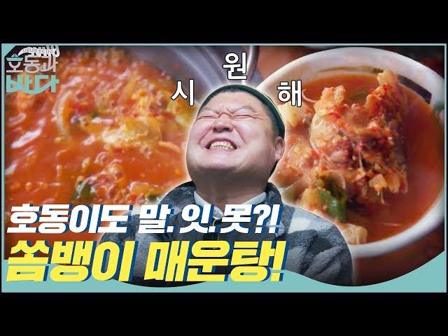 호동이도 말.잇.못? 차원이 다른 시원함의 쏨뱅이 매운탕 | 호동과 바다 Hodong and Sea EP.4