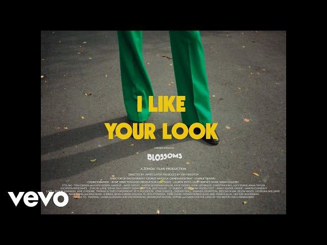 Blossoms - I Like Your Look