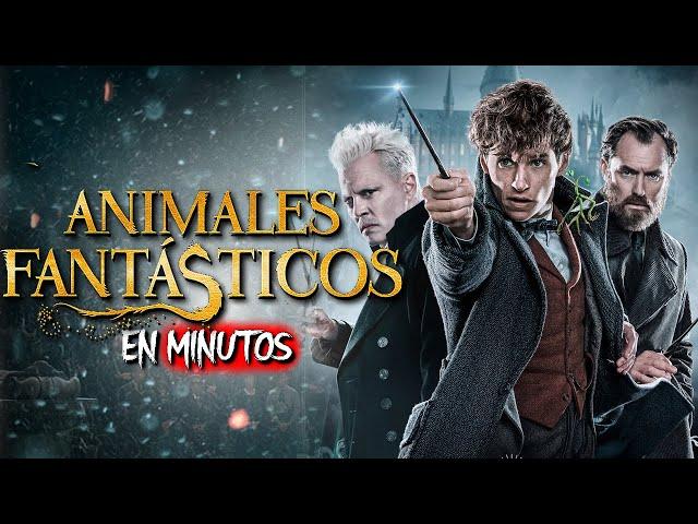 ANIMALES FANTASTICOS (Parte 1 y 2) RESUMEN EN 20 MINUTOS