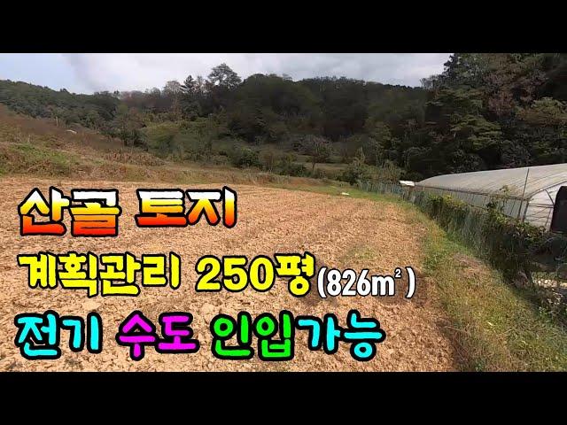 청도토지(335) 산골 반듯한 남향토지 선비부동산055-354-8757 수도 전기 인입 가능 마을과 떨어진 조용한곳#청도부동산매물#청도부동산#청도전원주택#청도촌집#청도농막