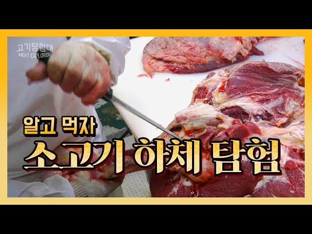 소고기 4분도체 하체 부위 발골! #1 알고 먹자 소고기 하체 탐험