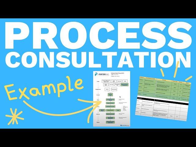 What Do Process Consultants Do?