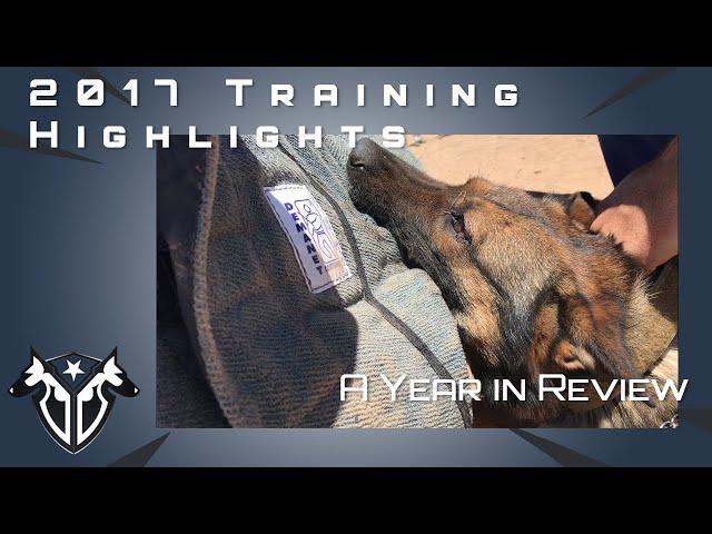 Complete Canine Training 2017 Recap - Protection Dog Training, Obedience & Police K9s