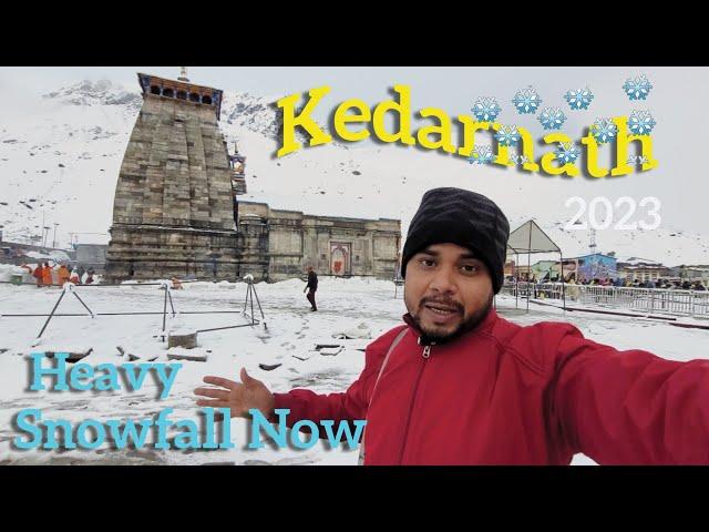 Kedarnath yatra 2023 | kedarnath heavy snowfall Today | Kedarnath temple