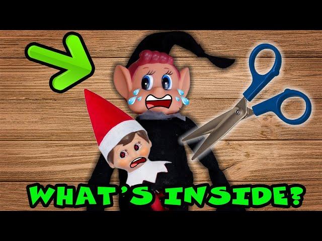 What's Inside The MEAN ELF? Did He EAT MY ELF??