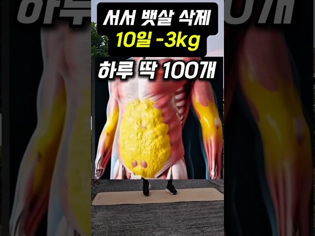 하루 딱 100개 운동(뱃살) #다이어트 #홈트 #홈트레이닝