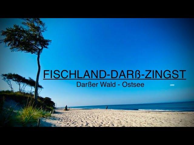 Der Darß -  Fischland-Darß-Zingst ️ Baltic Sea #ostsee , #balticsea , #mecklenburgvorpommern