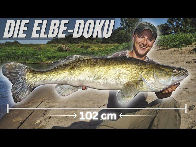 Ode an die Elbe | Doku 4K