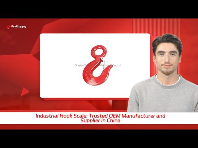 Industrial Hook Scale: Trusted OEM Manufacturer and Supplier in China