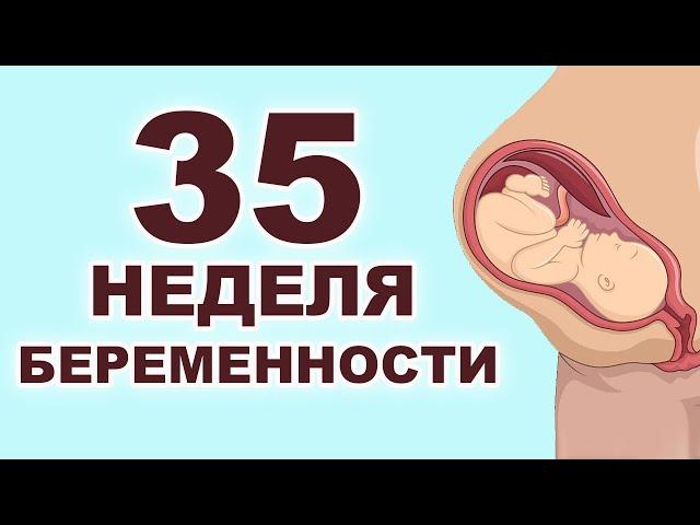 Что происходит с ребенком и мамой на 35 неделе беременности? 8 месяц беременности. Третий триместр.