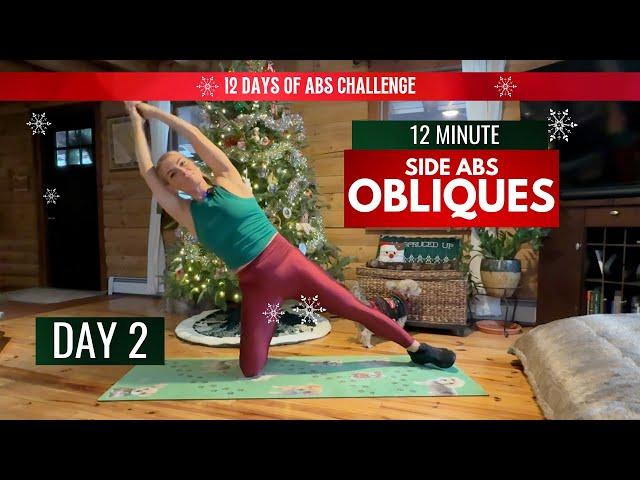 12 Days of Abs Challenge - OBLIQUES - "WAIST or SIDE ABS"  Day 2