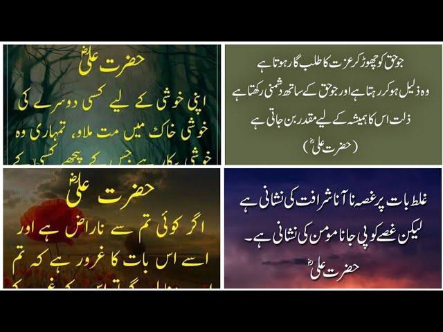 Hazrat Ali Urdu Quotes || Hazrat Ali ka farman || Urdu Lines @meerstudio03