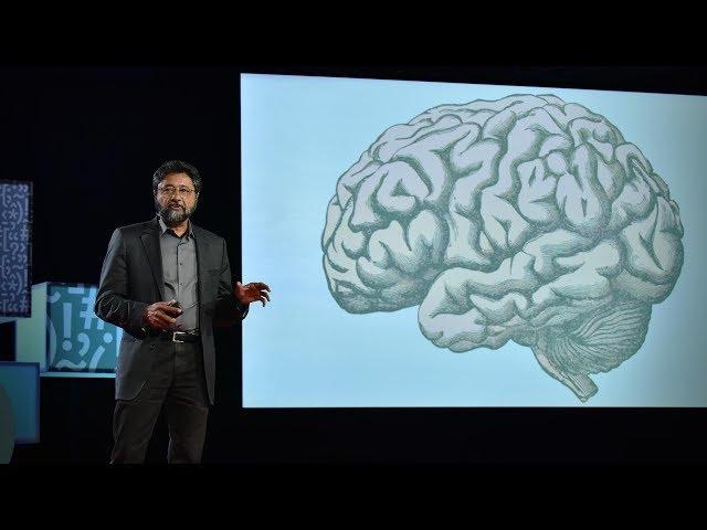 How your brain decides what is beautiful | Anjan Chatterjee