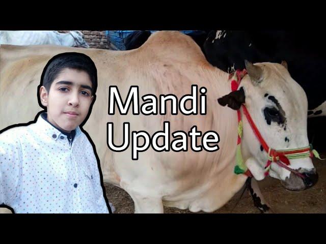 Bakra Mandi Pakistan ( RAWALPINDI ) - VLOG # 22 | Bakra Mandi Vlog