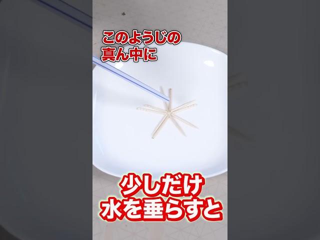 Amazing experiments you can do with toothpicks