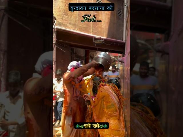 वृन्दावन बरसाना की होली #holi​ #holistatus​ #vrindavan​ #barsana​ #krishna​ #bankebihari​ #shorts​