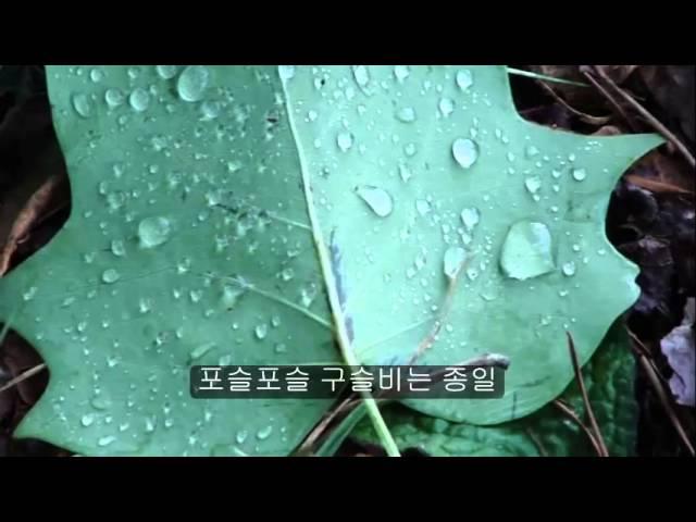 교과서 동요 - 구슬비