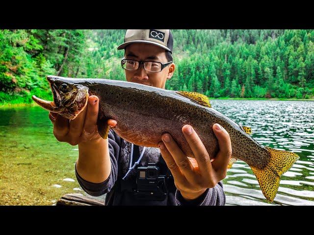 GIANT Mountain Cutthroat Trout (Catch Clean Cook) - Cutthroat Taste Test