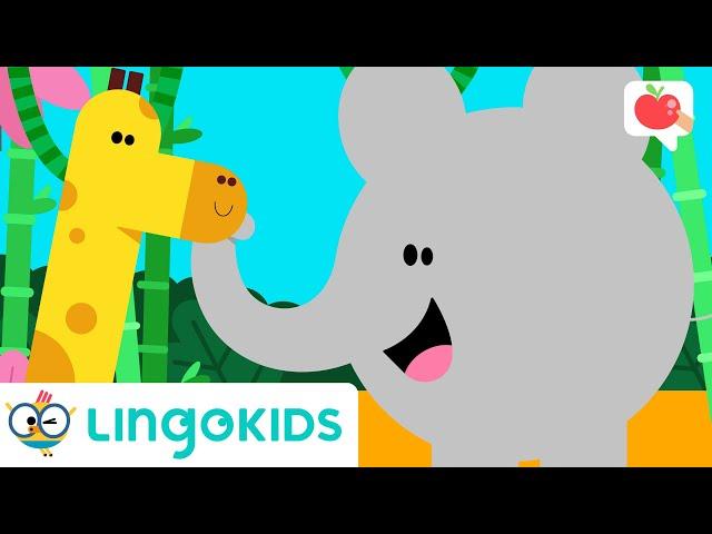 JUNGLE ANIMALS for Kids  | VOCABULARY, SONGS and GAMES | Lingokids