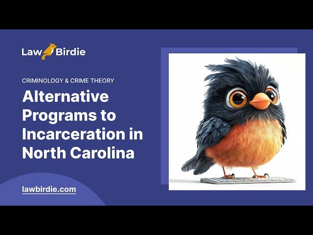 Alternative Programs to Incarceration in North Carolina - Essay Example