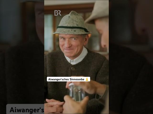 Aiwanger'sches Sinneserbe | schlachthof | BR Kabarett & Comedy | #shorts