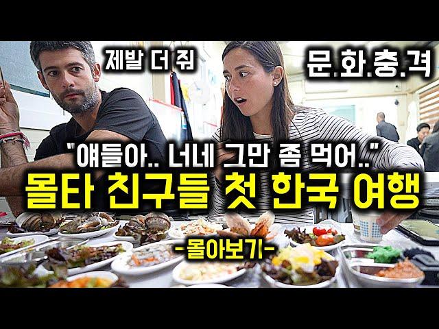 【몰아보기 】 한식에 진심인 말타 친구들의 한국 '식도락 여행기'