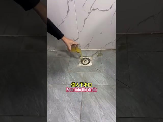 跟我这样做，50年下水道都不会有异味！How to Get Rid of Sewer Odor #生活小妙招 #生活小技巧 #lifecoach #lifehacks #knowledge #小知识
