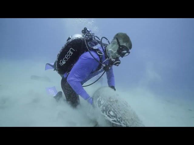 Millions of Tires Dropped Into the Ocean