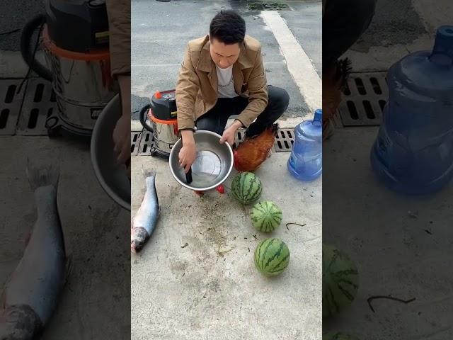 Super powerful vacuum cleaner#shorts
