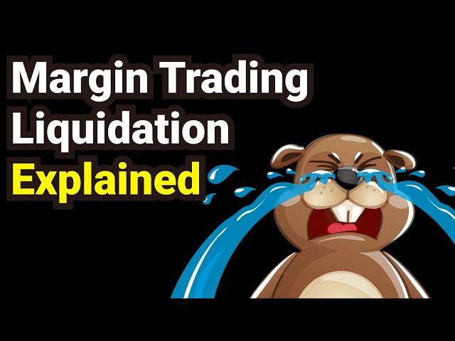 How NOT to get liquidated when margin trading