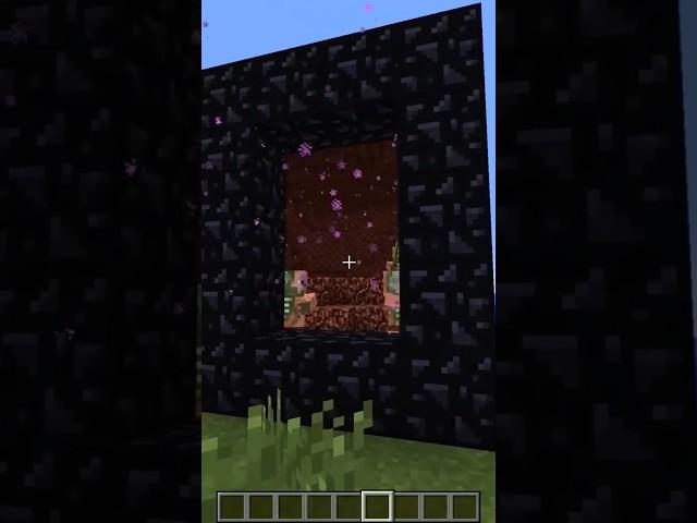 Minecraft transparent portal.@AsianHalfSquat #shorts #gaming #minecraft