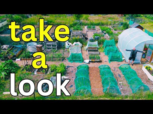 July Allotment Garden Tour | Summer Gardening Tips & Harvest Update