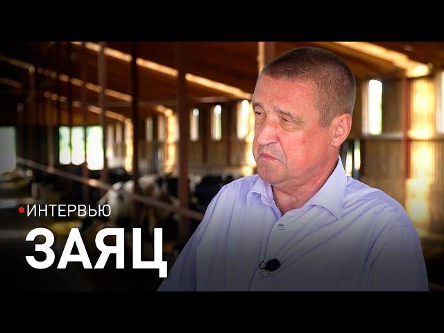 ЗАЯЦ: самые правильные решения Лукашенко; рапс на вес золота; белорусская молочка; жизнь на селе