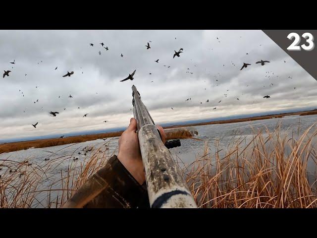 DUCK HUNTING A Huge Public Land MALLARD ROOST (Limited Out)