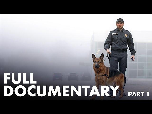 The Working Dog - Full Documentary (Part 1/4)