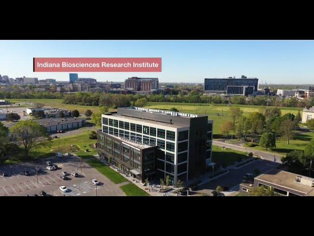 Collaborating to Translate Diabetes Research into Novel Therapies