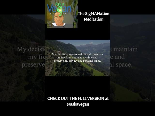 Sigmanation Meditation short excerpt! (Link to full version in description)