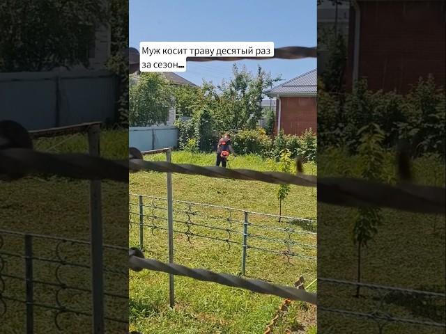 Главное развлечение на даче #покос #трава #газон #сушка #прикол #юмор #огород #сад #частныйдом #юг