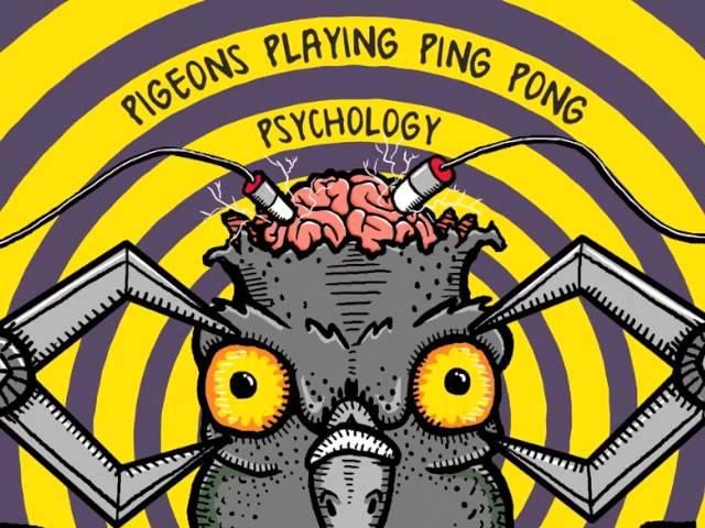 "Melting Lights" - Pigeons Playing Ping Pong