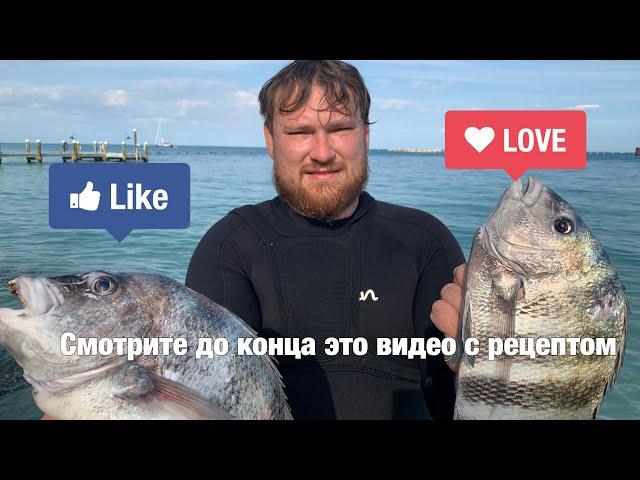 Подводная охота удалась!! Смотрите до конца !!! рецепт как приготовить рыбу!!