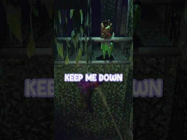DEV DROPS FROM THE TOP ROPE
