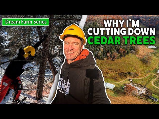 Why I'm Clearing Cedar Trees | Dream Farm w/ Bill Winke