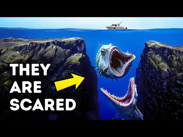 Why No Scientist Wants to Explore the Mariana Trench Again