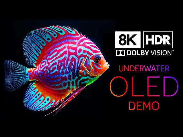 Beautiful Underwater in 8K HDR | Dolby Vision™